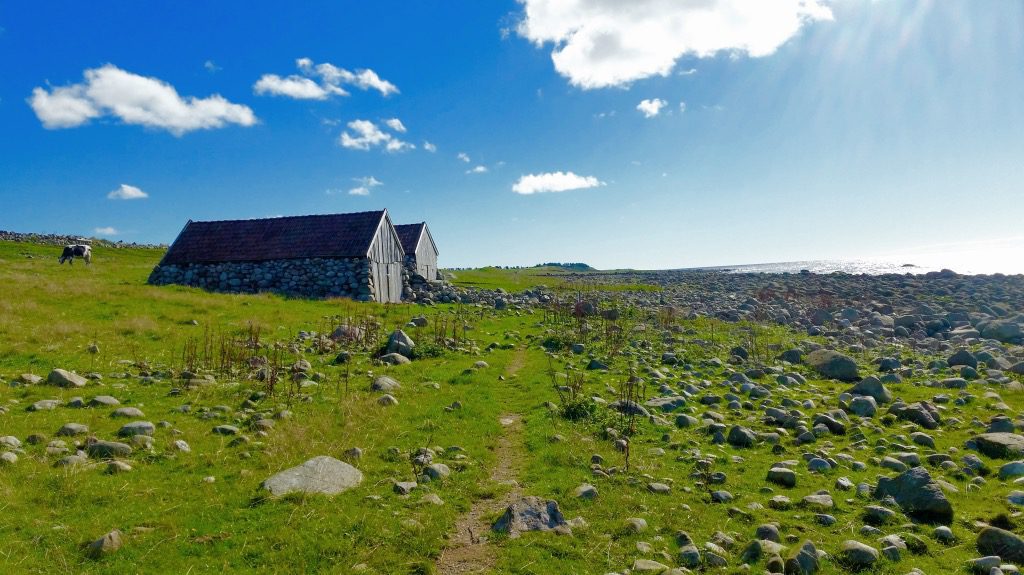 Kongeveien Jæren