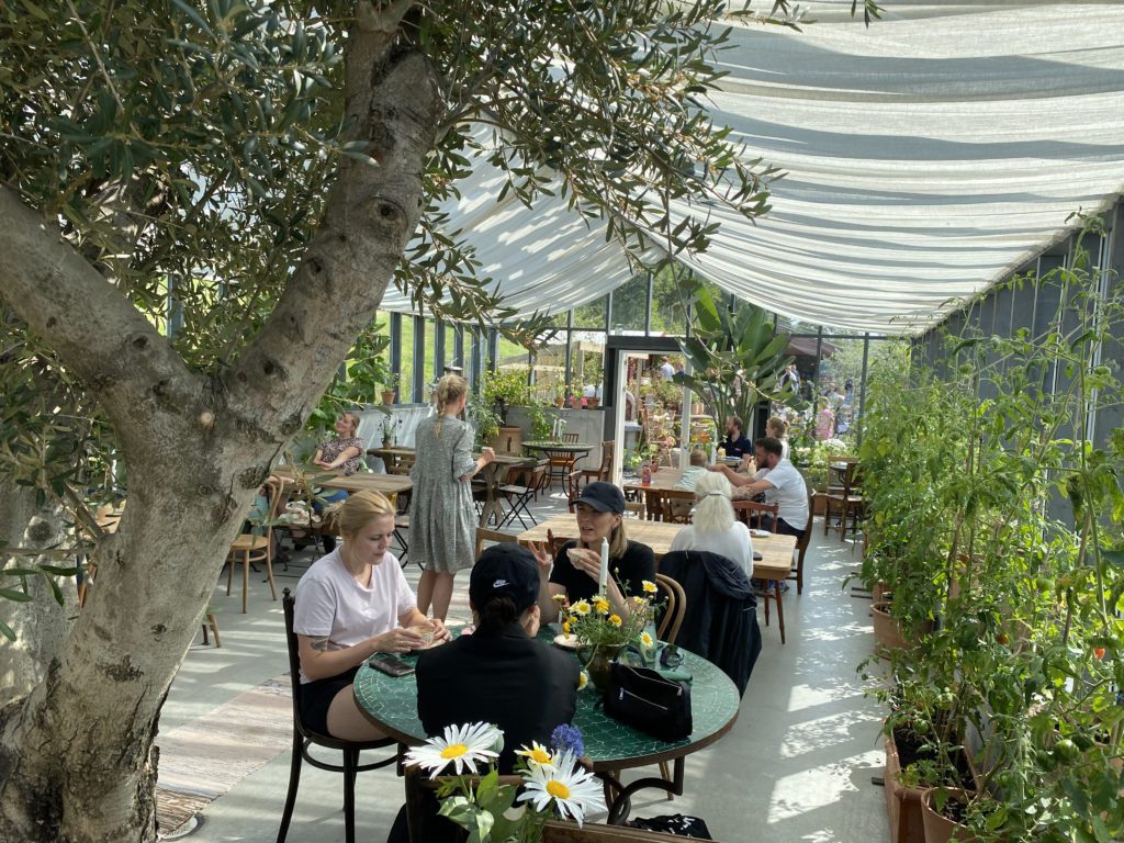 Drivhuset bageri