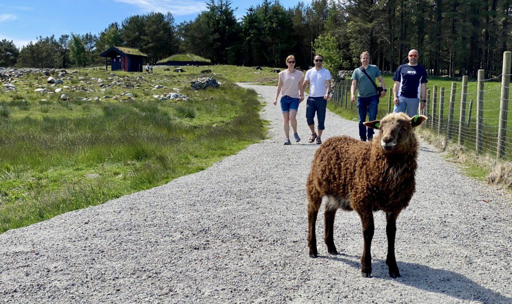 Gårdsbesøk på Jæren